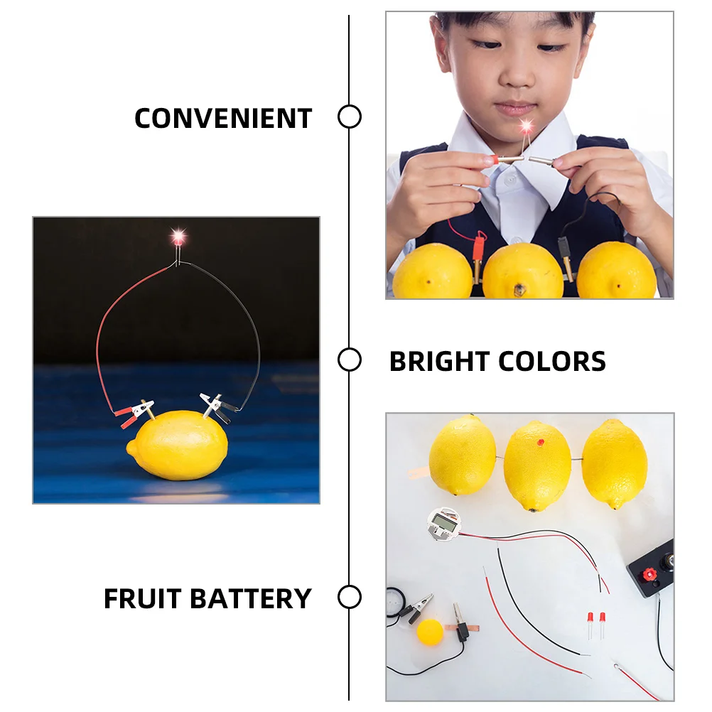 2 Sets Potato Fruit Experiment Kit Student Kids Toys Experiments Metal Lemon Science