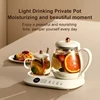 Good New 1/0.25L Pot Electric Kettle Double Pot Multi functional High Boron Heat Water Coffee Tea Timed  Home Office Gift 5