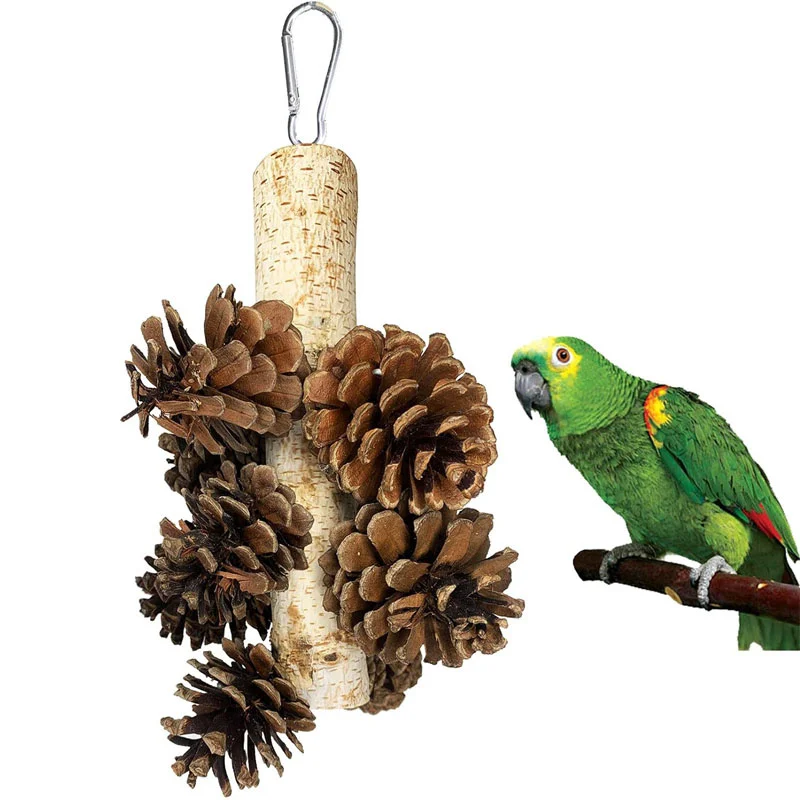 

Bird Chewing Toys Natural Pine Cones Hanging Foraging Toys Parrot Tearing Toys for Parakeet Cockatiel Conure African Grey Parrot