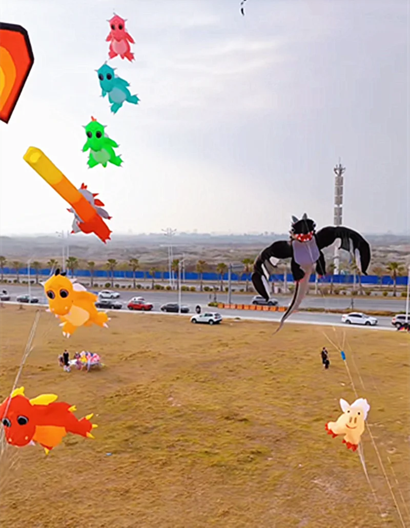 5m Dragon Kite Flying Cometas profesionales Wind Kite Kinder Drachen Steigen Kite Erwachsene automatische Kite Maschine Big Kite Pipa – Detail 1