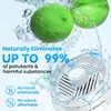 Fruit and Vegetable Washing Machine. Rotatable Fruit and Vegetable Purifier. The Fruit Cleaner Device Automatically Turns on in 3