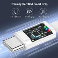 Fast Charger Cable 4