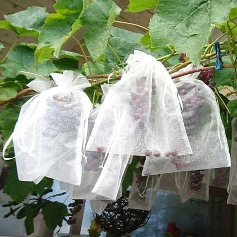 과일 보호 가방 해충 방제 조류 방지 정원 그물 딸기 가방 메쉬 포도 가방 드로 스트링 화분 재배 가방 50 개