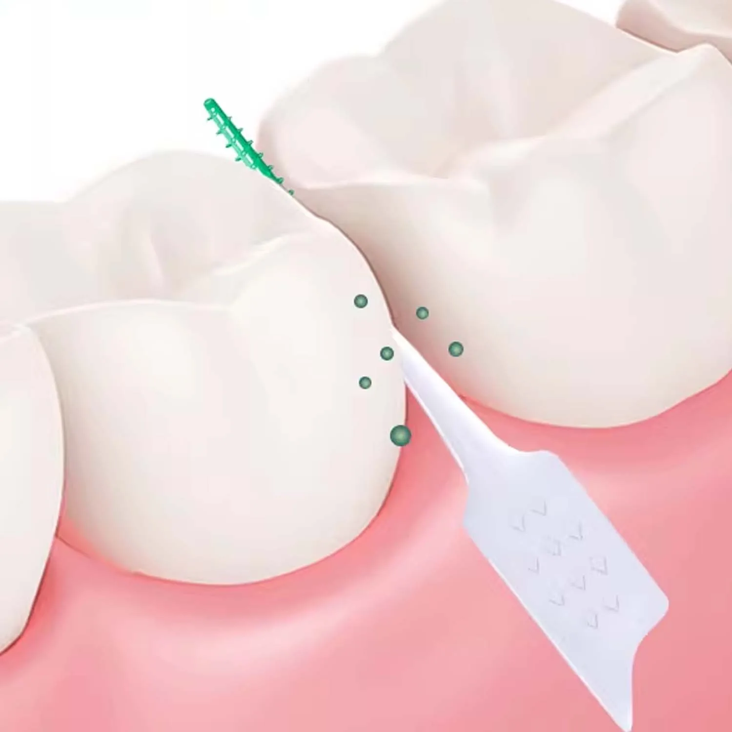 Polypropylene Interdental Brushes for Teeth Cleaning Between Teeth
