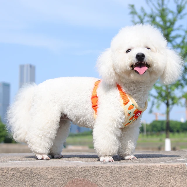 Comfortable Vest Style Dog Harness for Small Breeds - No-Pull Breathable Pet Harness with Leash Adjustable for Bichon Dogs 5