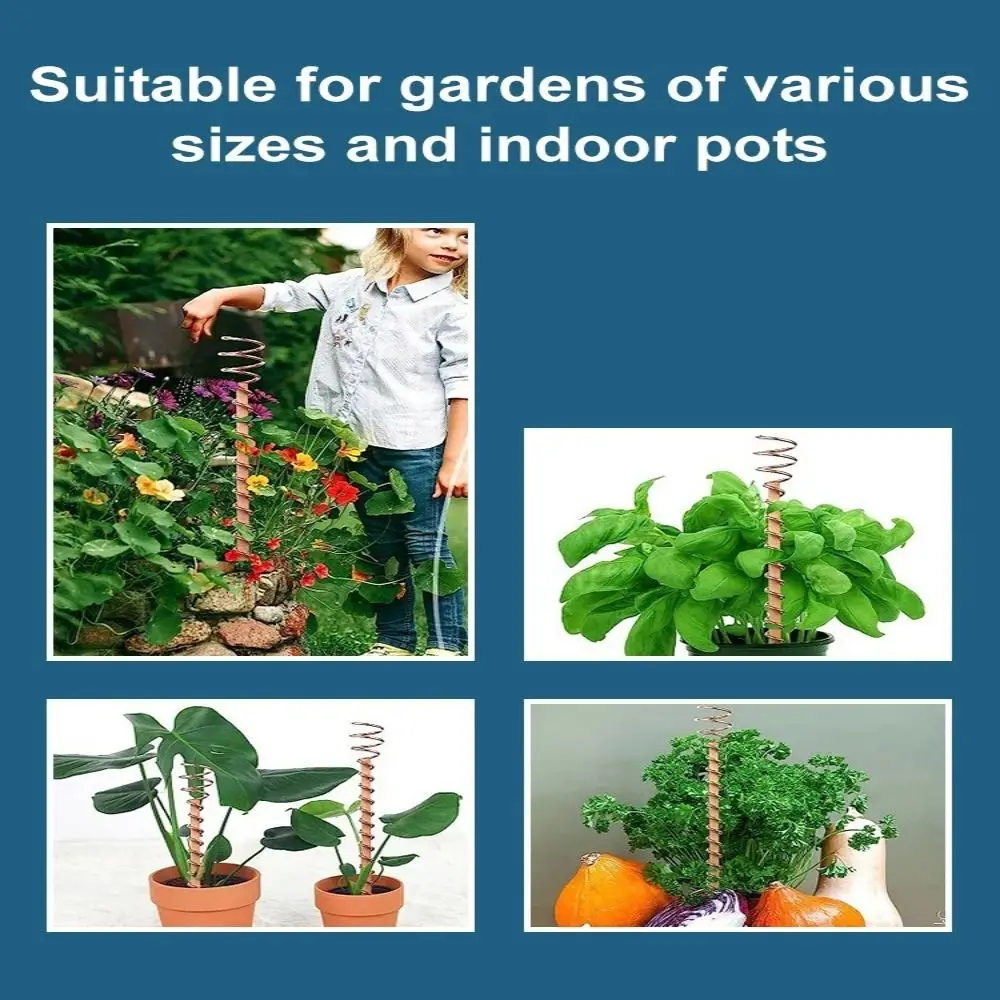 Bonsai Copper Electroculture Plant Stakes Wire Coil Wood Rod Gardening Copper Coil Antennas Bonsai Fixing Rod Plants
