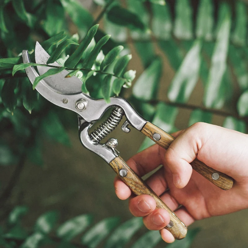 Garden shears wooden handle