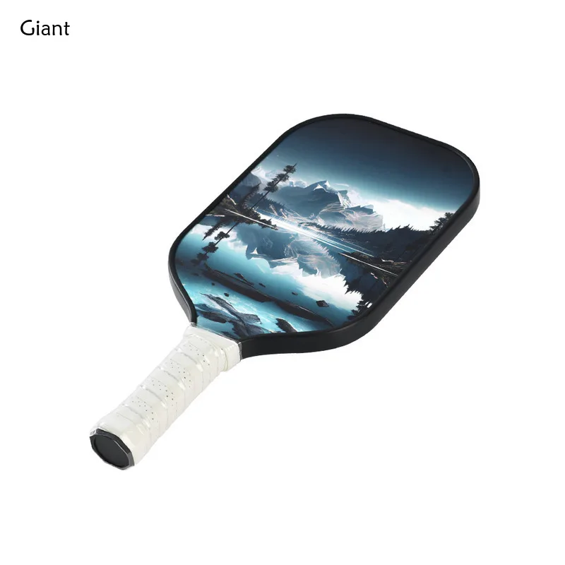 New Carbon Fiber Landscape Painting Pickleball Paddle USAPA Certified Pickleball Sport Grade PP Honeycomb Core Offensive Racket