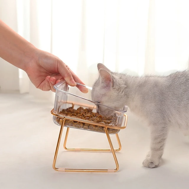 Cat and Dog Drinking Bowl Food Bowl Pet Drinking and Feeding Station Iron Bowl for Moisturizing and Healthy Eating 4
