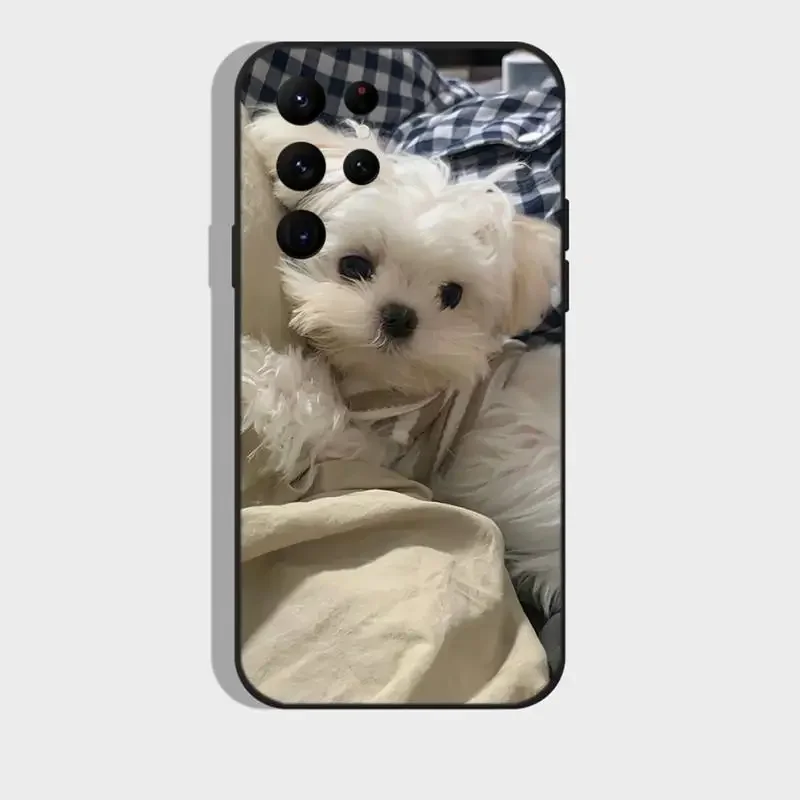 Maltese pes štěně roztomilá telefon pouzdro pro Samsung S21 S22 uitra S20 S30 plus S22 plus S23 s30ultra 5G silikon obal