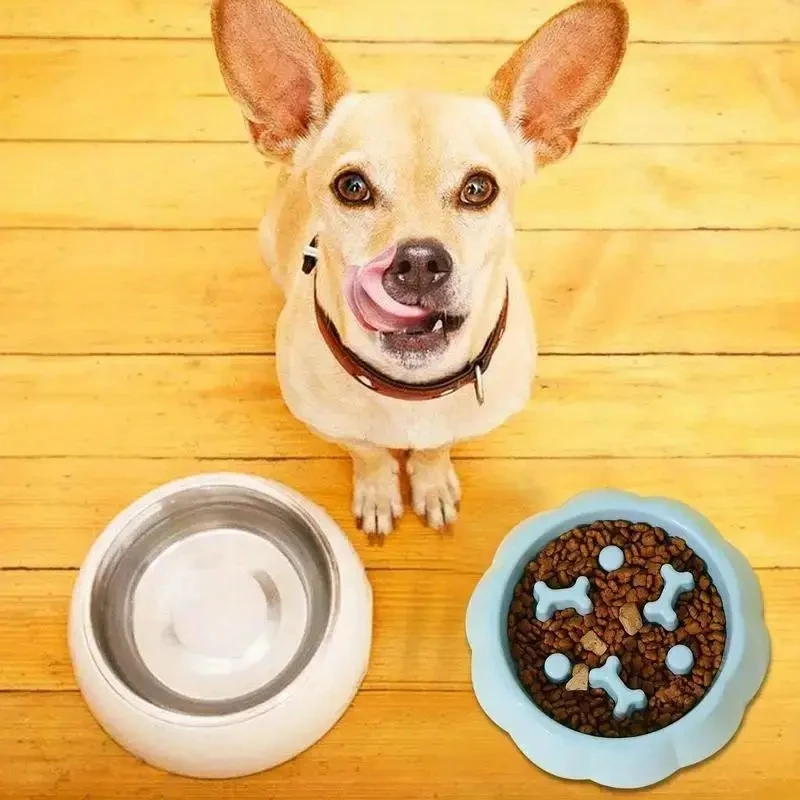 Colorful Slow Feeder Cat Dog Bowl Anti Choke