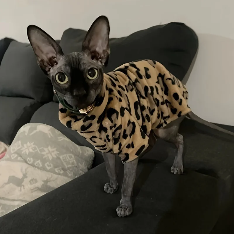 스핑크스 고양이 옷을위한 고양이 옷 패션 겨울 부드러운 따뜻한 고양이 의류 컴..