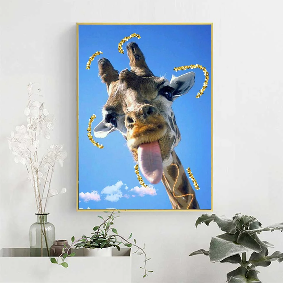 30 (14).jpg_.webp 30 (14).jpg_.webp