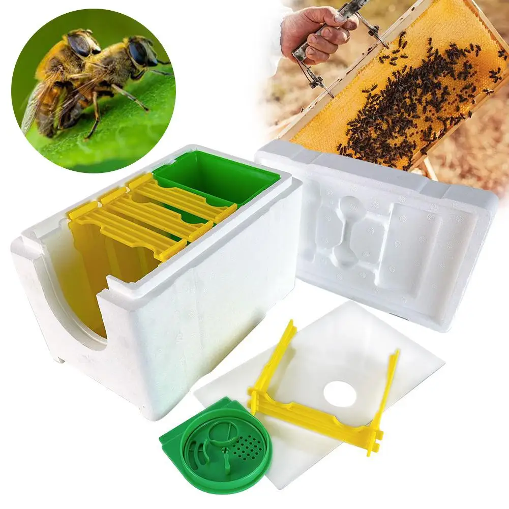 Multi-Function Home Bee Hive Pollination Boxes Mini Beekeeping Harvest Beekeeper Bee Supplies Hive Mating Box Beehive W5K3