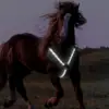 LED Horse Breastplate Collar Harness LED Strips Horse Chest Strap Battery Operated Belt Adjustable Equestrian Safety Gear 2