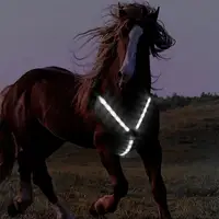 LED Horse Breastplate Collar Harness LED Strips Horse Chest Strap Battery Operated Belt Adjustable Equestrian Safety Gear 2