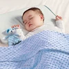 Personalized Baby Blanket Newborn Stroller Sleeping Dolls Custom Blanket With Name Animal Security Towel Gift Set 2