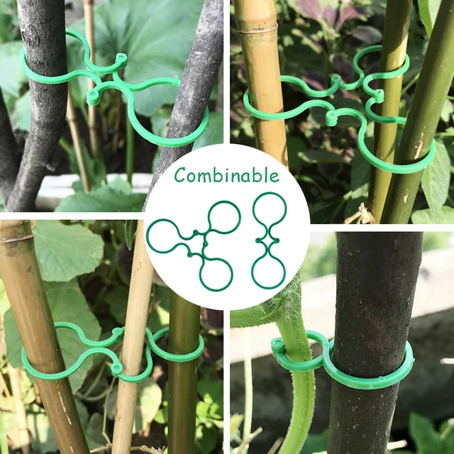 2 In1 20-200Pcs Növényi Klipek Szőlősav Újrafelhasználható Csathorog Támogatja A Szőlőcsatlakozást Zöldség Paradicsom Uborka Szőlőhöz - Image 3