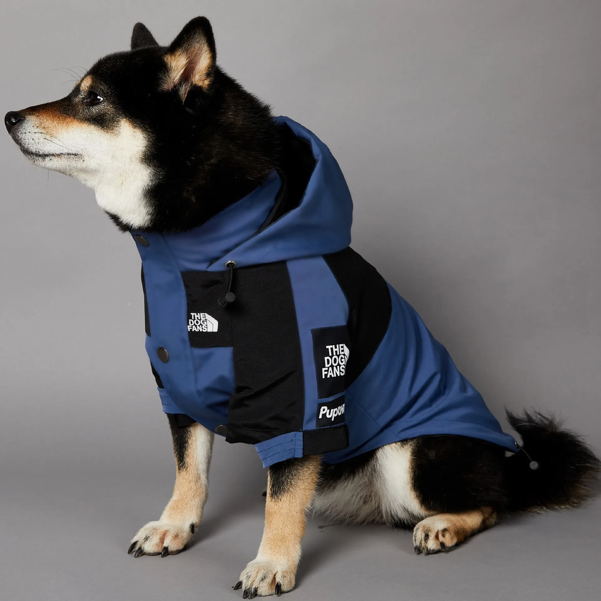 Windproof and Rainproof Dog Large Dog Raincoat Blue Pet Charge Coat dog raincoat