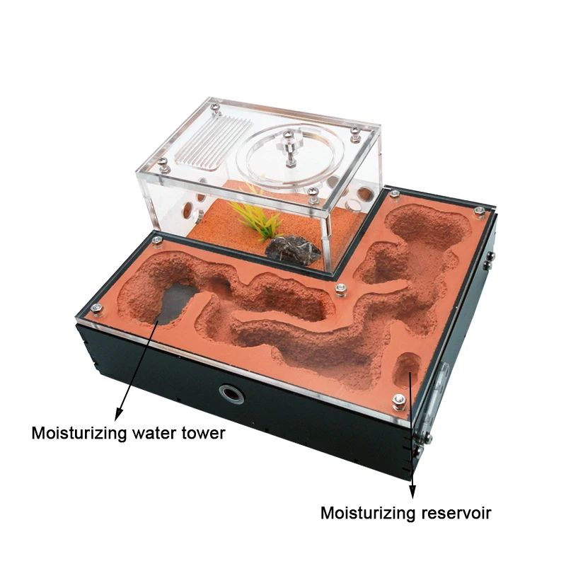 Ant Farm with External Water Tower