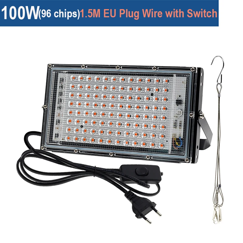 100W EU Plug