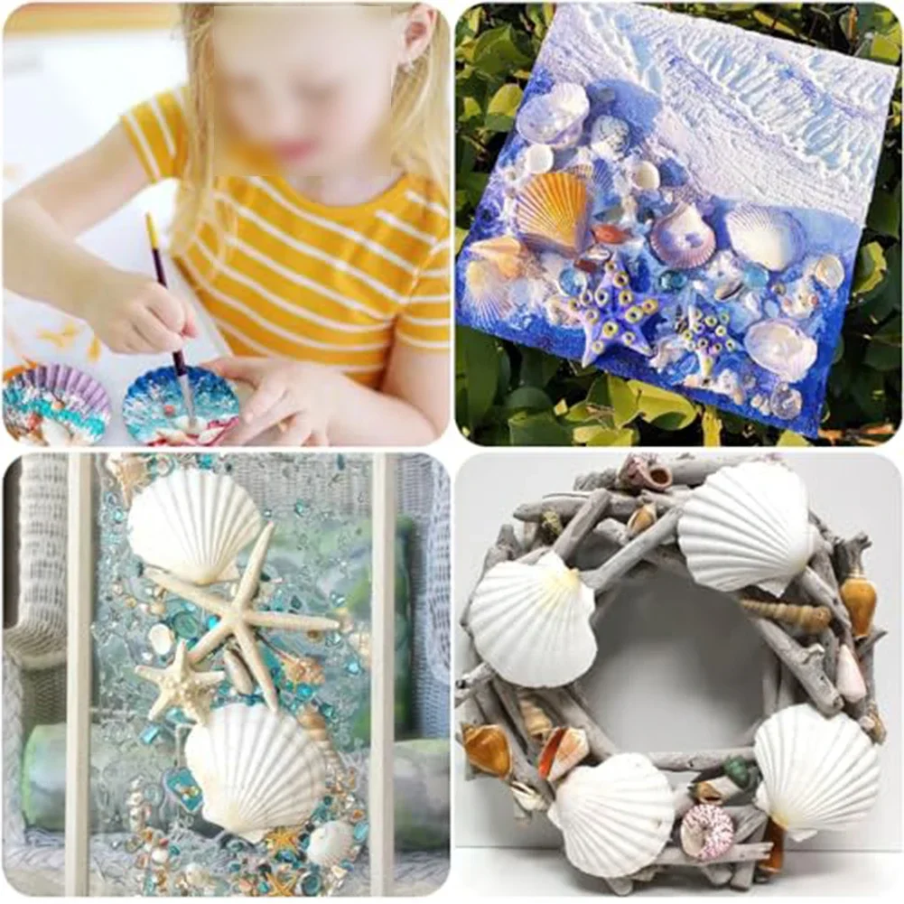 여름 파티 23인용 DIY 공예 조개 장식품 해변 장식 조개 창의적인 DIY 프로젝트 여름 파티 장식