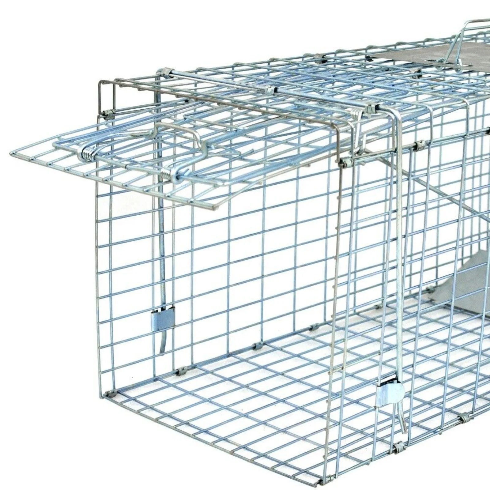 Live Animal Cage Trap Heavy Duty Folding Raccoon Humane Cat Trap Rabbit mouse trap US 32"