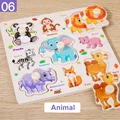 Animal