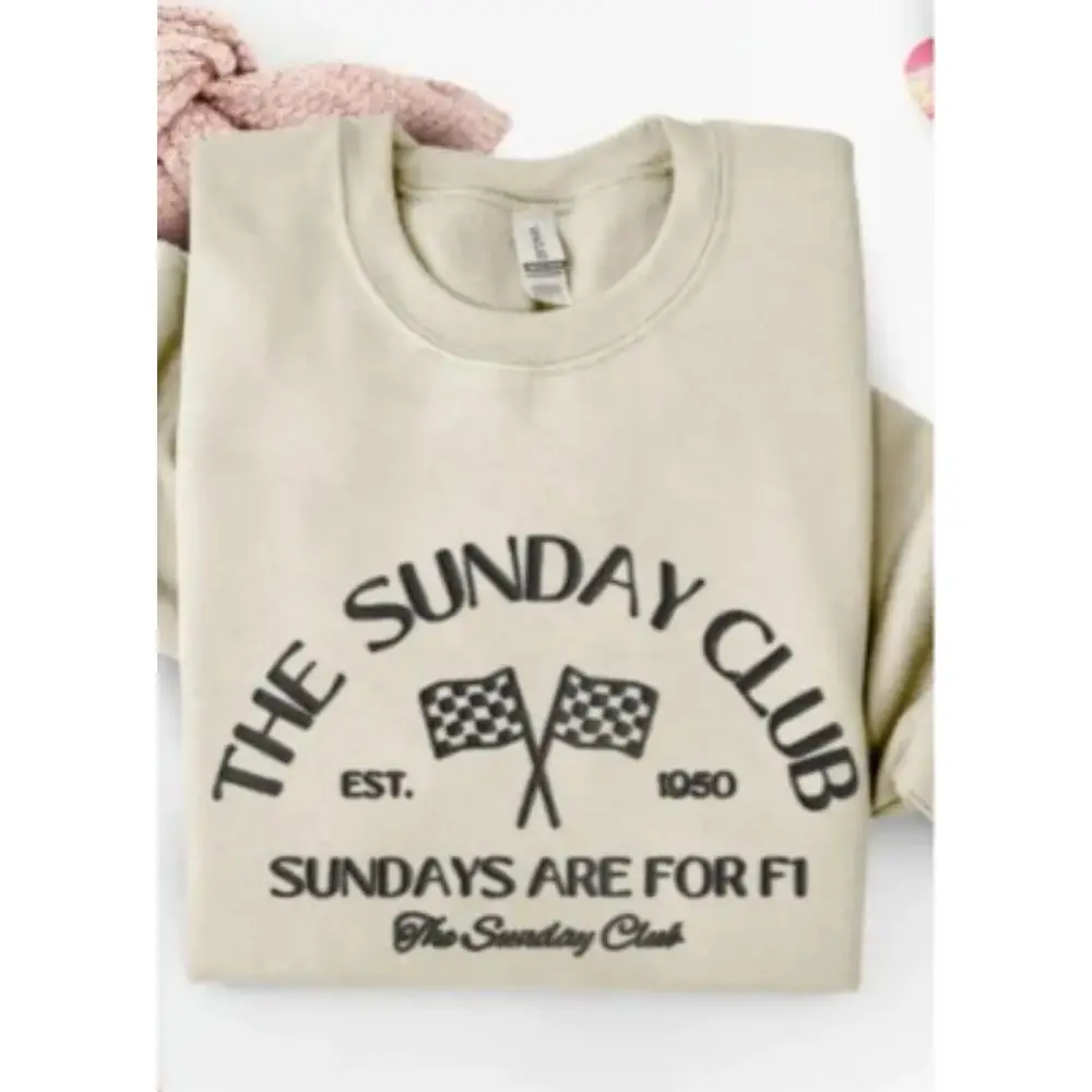 Новинка 2024, свитшот для женщин, базовые Топы, одежда, женские пуловеры, Женский мягкий джемпер с длинным рукавом