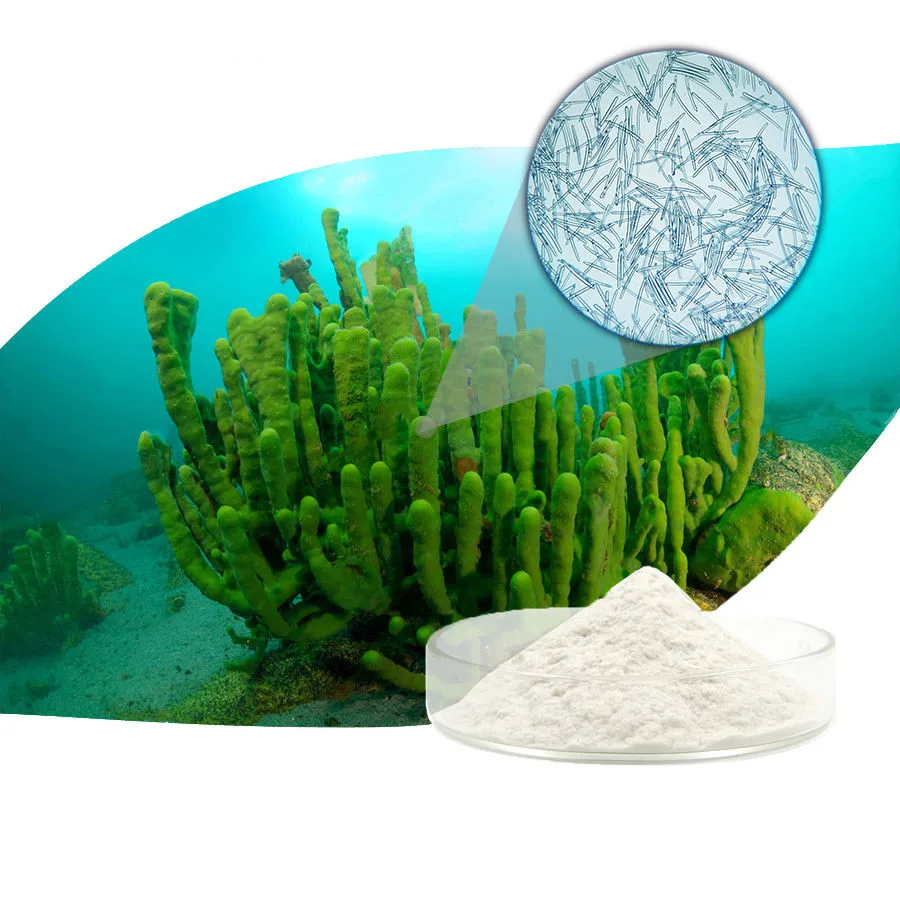

Высококачественный 99% Spicule Отшелушивающий гидролизованный порошковый спонж