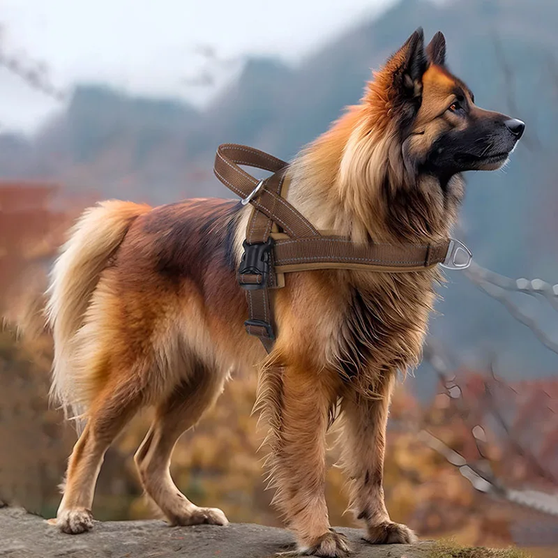 Tactical No Pull Dog Harness 2