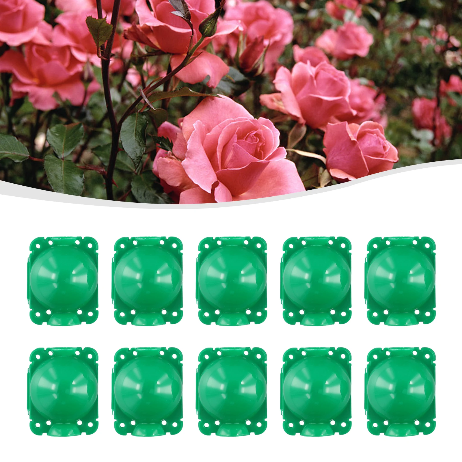10Xplant Rooting Balls Custodia Per Allevamento Con Innesto Ad Alta Pressione Nursery Box Propagazione Jardinage Plant Root Pot Accessori Da Giardino