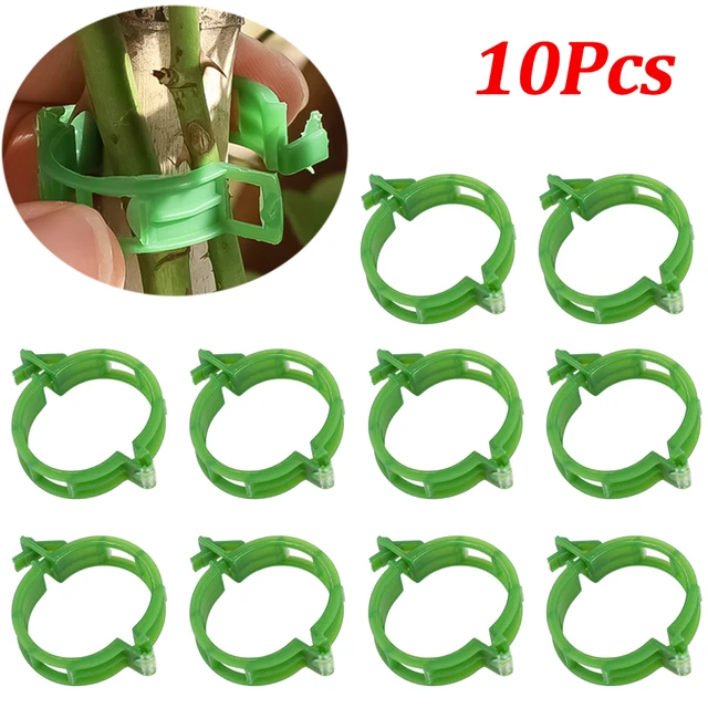 GREEN-10PCS