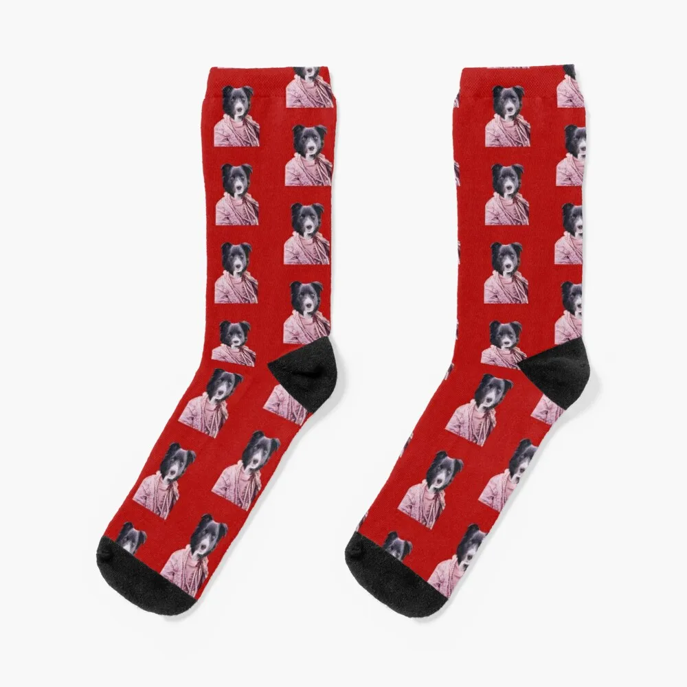 Cute Puppy Socks Cool Socks Sports Socks Man