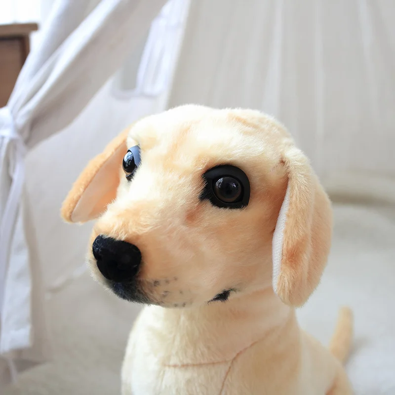 Sc7a6c03b4f3a4457bb4ea4c328448828m - Golden Retriever Gifts