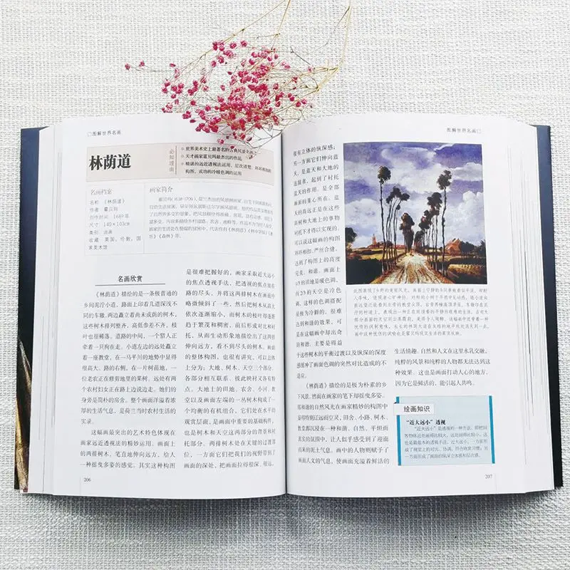 Рисунок 4 - Полный набор из 2 томов