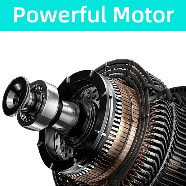 Negative Ion Pet Hair Dryer with LCD Screen