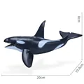 Ocean Animal-15