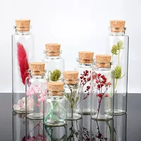 5pcs 10ML 15ML 20ML 25ML 30ML 40ML 55ML Glass jars Cute Mini Wishing Cork Stopper Glass Bottles Vials Jars Decor Containers Size 1