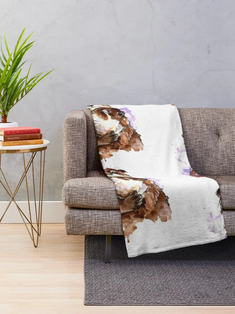 ���� ��äȭ ������ ���, ķ�� ���� ���