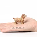 Dachshund