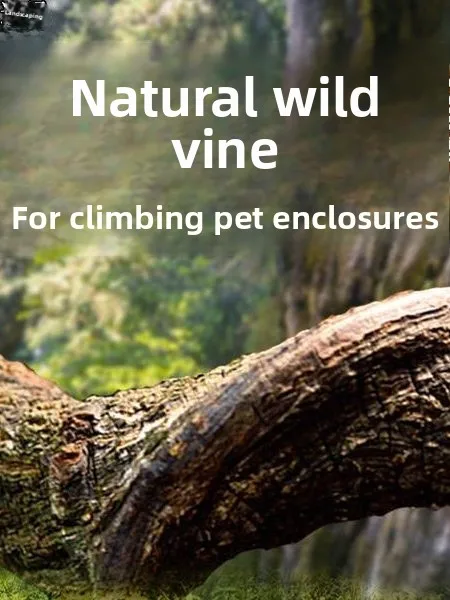 l Dragon Vine Branches for Pet Reptiles And Amphibians Crab Snail Tanks Decoration Climbing Lizards Geos Chameleons