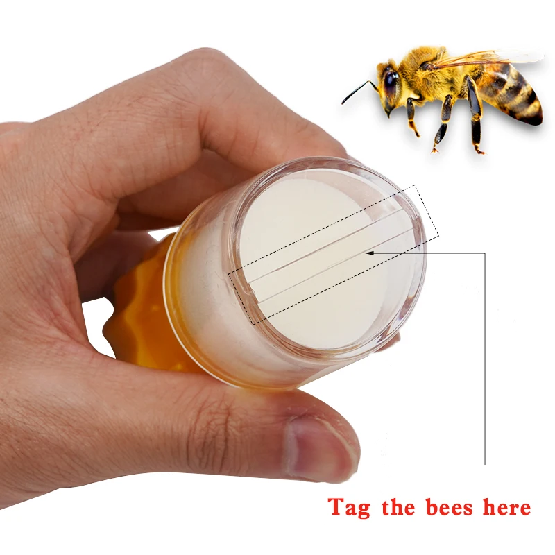 Business & Industrial Agriculture & Forestry Equipment Beekeeper Queen