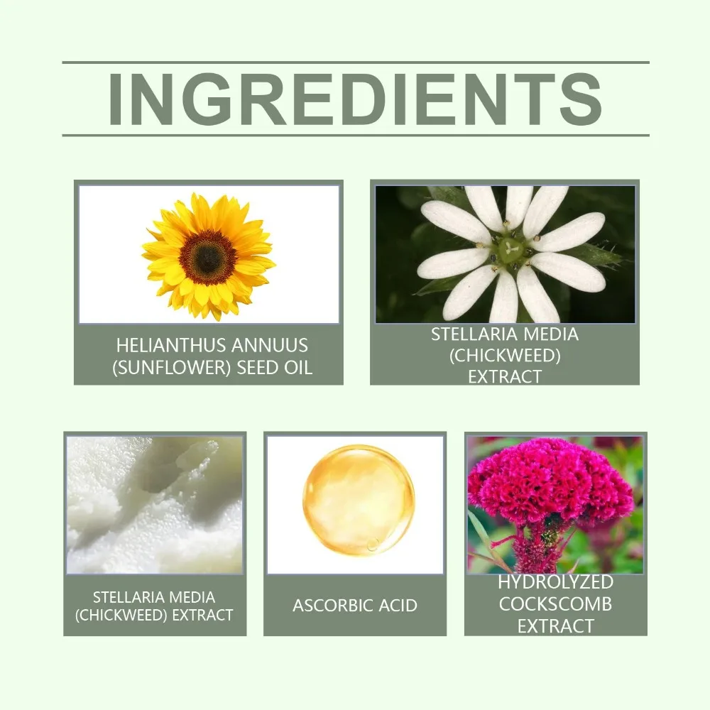 Soothes The Skin Wild Chickweek plant Salve Cream Ultra Firming Renew Body Lotion Skin Firming Moisturizing Body Care Cream