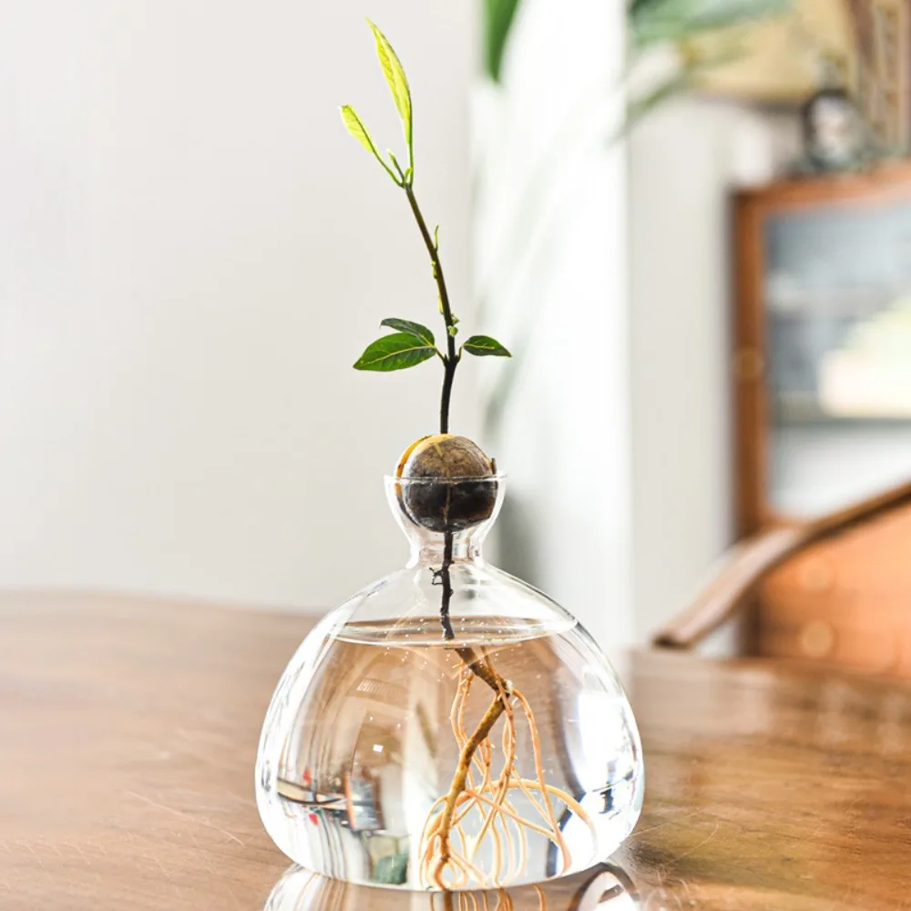 Avocado Hydroponic Vase Simple Transparent Seed Starter Vase Glass Plant Vase Aromatherapy Bottle Seed Growing Kit Gift