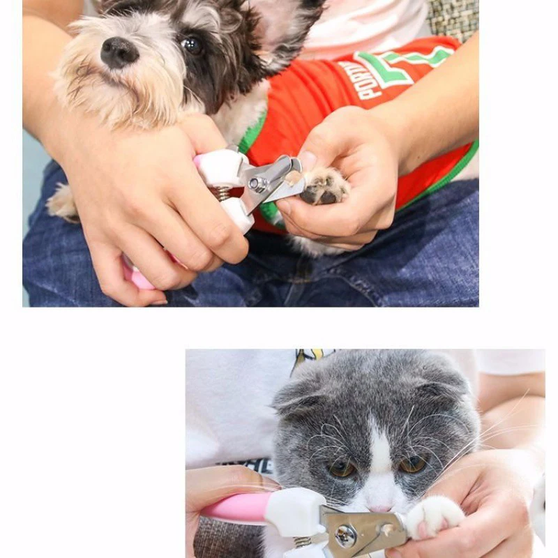 Professional Dog Nail Clippers Trimmer Safe Comfortable Pedicure Pet Nail  Clipper With File Suitable For Small Medium Large Dogs - Nailclippers -  AliExpress