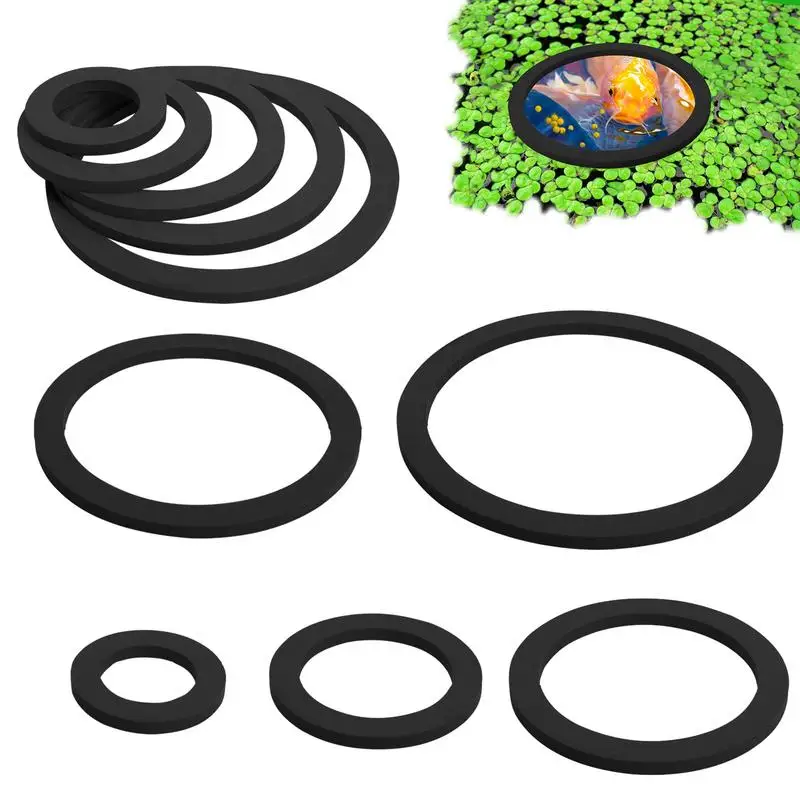 Anelli Per Piante Galleggianti Per Acquari 10 Pezzi Cerchio Di Alimentazione Per Acquario Galleggiante Tondo Per Acquario Recinto Per Tartarughe Pesce