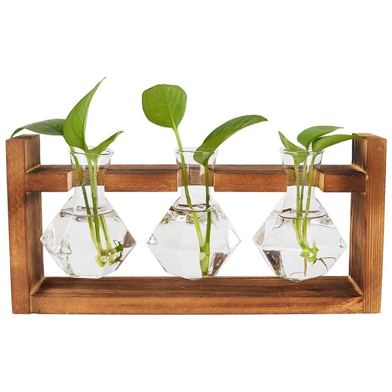 

ABSF Desktop Plant Propagation Stations,Diamond Glass Planter Flower Vase With Solid Wooden Stand For Hydroponics Air Plants
