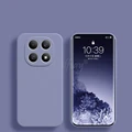 Lavender Grey