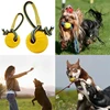 1pc Teeth Indestructible Bite Rubber Puppy Funny Training Ball Chew Toys Play Fetch Solid with Carrier Rope Pet Dog Toy 5